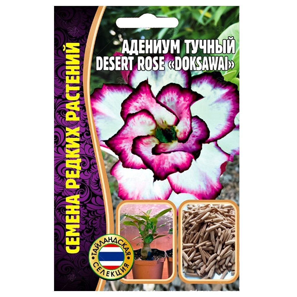  Desert Rose Doksawai      , -, 