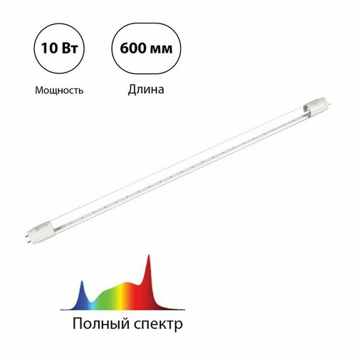  , 10 , 600 ,  G13,  , LED-T8-FITO, IN HOME   , -, 