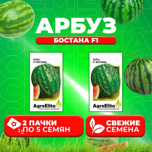    F1, 5, AgroElita (2 )
