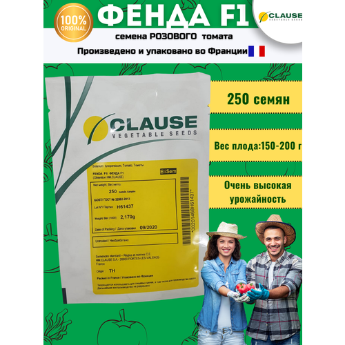  F1 -  , 250 , Clause/ ()   , -, 
