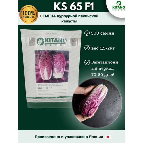 KS 65 F1-  , , 500 , Kitano seeds/  ()   , -, 