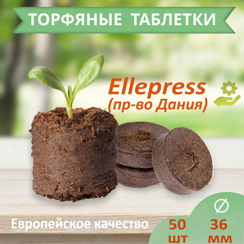   ELLEPRESS 36  50    , -, 