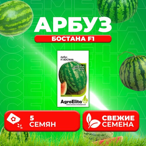    F1, 5, AgroElita (1 )