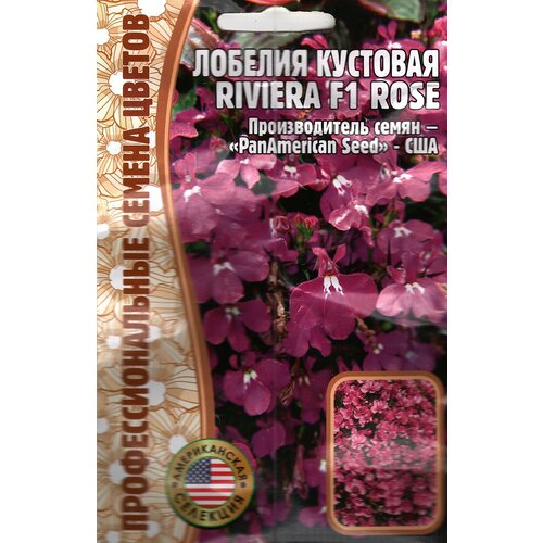   Riviera F1 Rose,   ( 1 : 5  )   , -, 