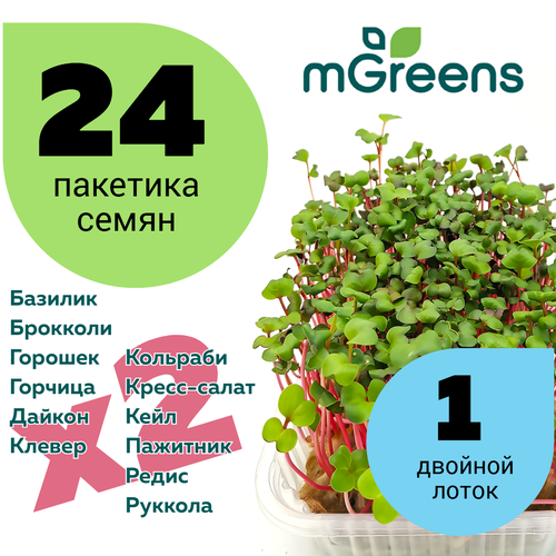 Home Market Green /      24        , -, 