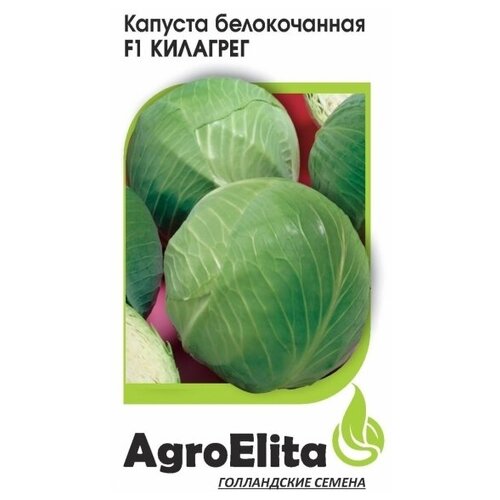   AgroElita    F1 10 ., 10 .   , -, 
