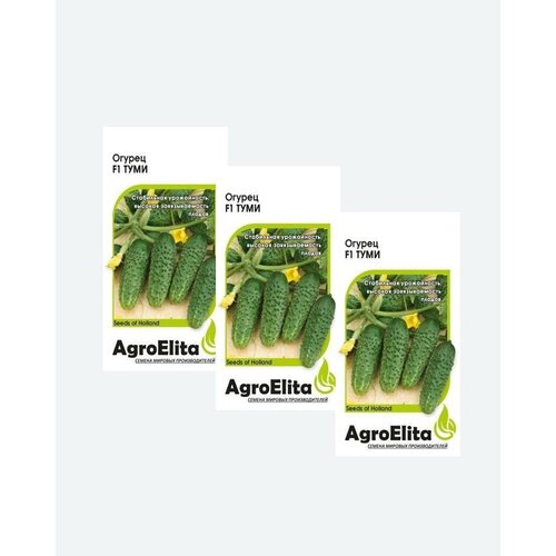    F1, 5, AgroElita, Enza Zaden(3 )   , -, 