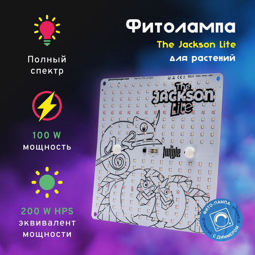 LED  The Jackson 100W Lite     , -, 