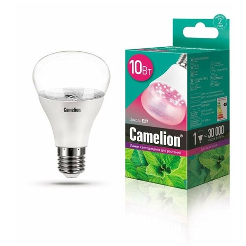     Camelion LED10-PL/BIO/E27 10 220 13241 15788882   , -, 