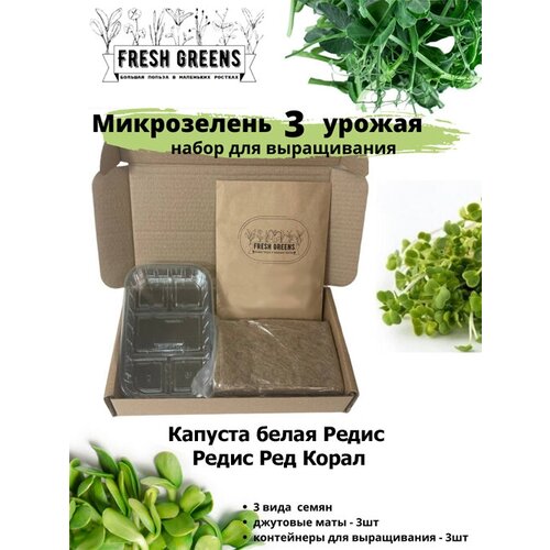     Fresh Greens (     )   , -, 