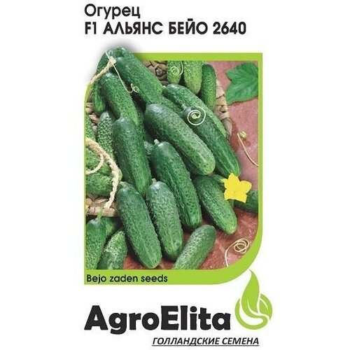    AgroElita    2640 F1 10 ., 10 .