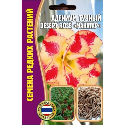   Desert rose MAHATAP (1  * 3 )     , -, 