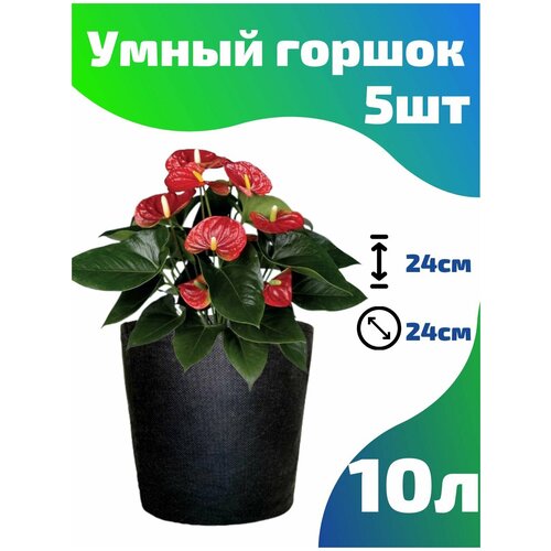    , ,  Smart Pot - 10  5 .   , -, 