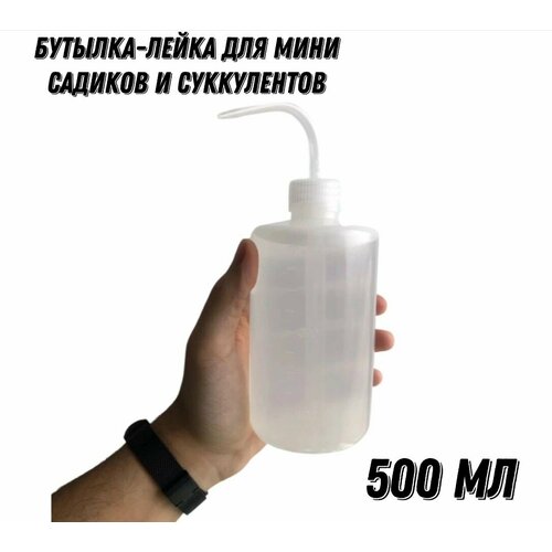       (  ), 500 .   , -, 
