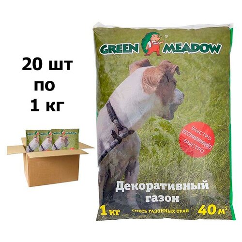   GREEN MEADOW   20   1    , -, 