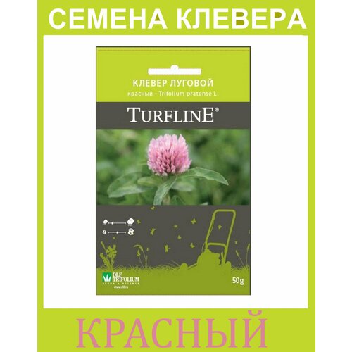    ( )   Trifolium Protense L TURFLINE DLF 0.05    , -, 