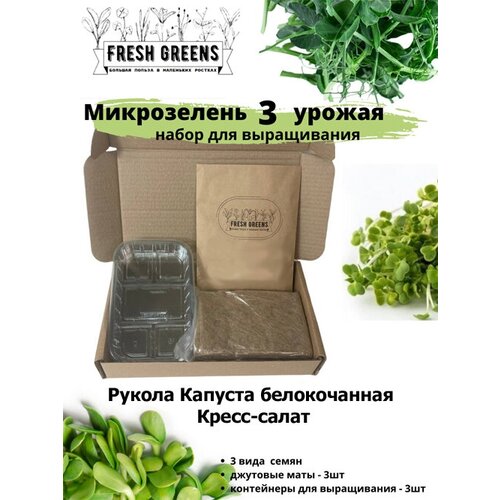     Fresh Greens (   -)   , -, 