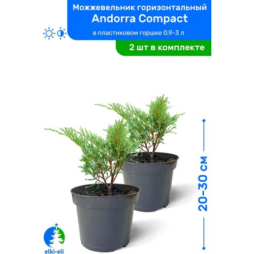   Andorra Compact ( ) 20-30     0,9-3 , ,   ,   2    , -, 