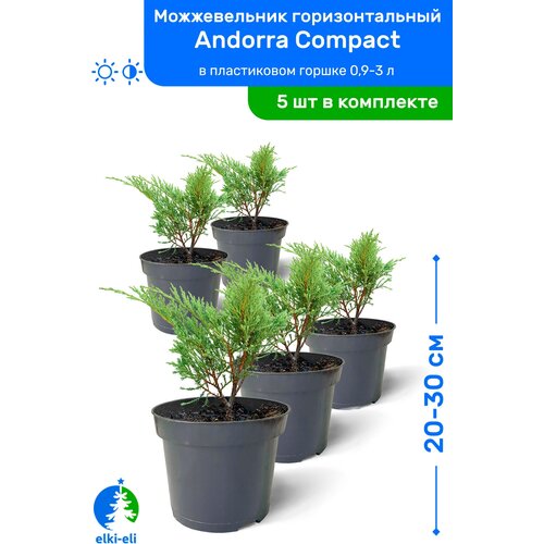   Andorra Compact ( ) 20-30     0,9-3 , ,   ,   5    , -, 