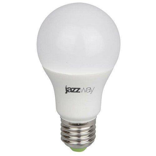    Jazzway PPG A60 Agro 15w FROST E27 IP20 5025547 16092192   , -, 