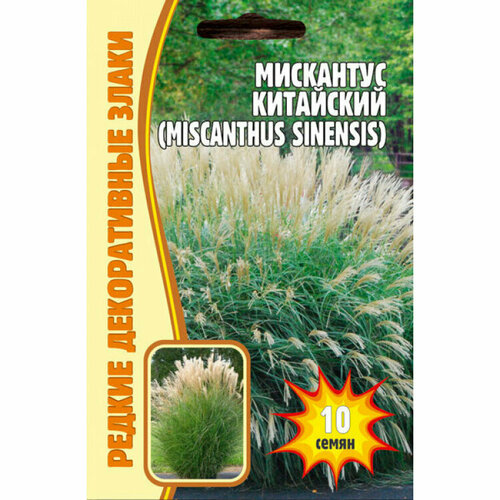    (Miscanthus Chinensis) (0.01 )   , -, 