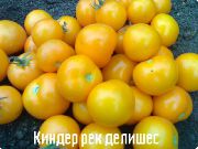      semenagrad.ru