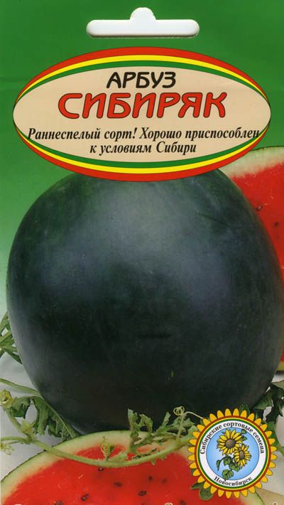 арбуз Сибиряк фото, характеристики, описание, семена