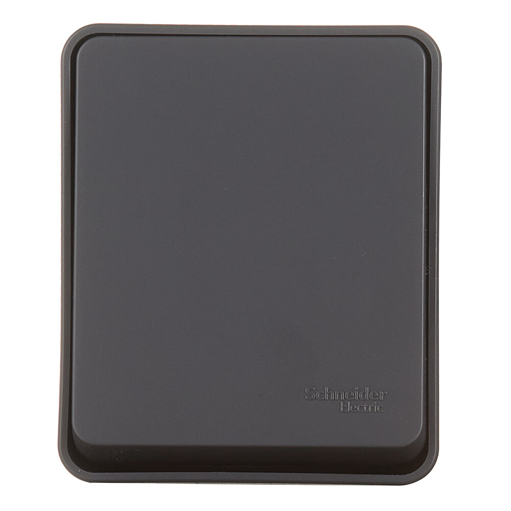 ���������� ����������� Systeme Electric AtlasDesign Profi54 ������������� ��������� �������� (ATN544011)  