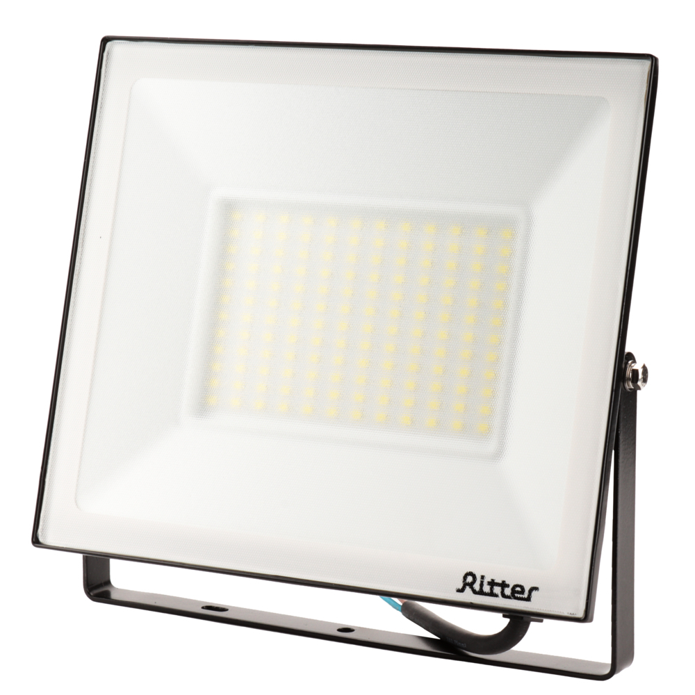 ���������� ��������� ������������ Ritter Profi 6500� 100 �� IP65 ������  