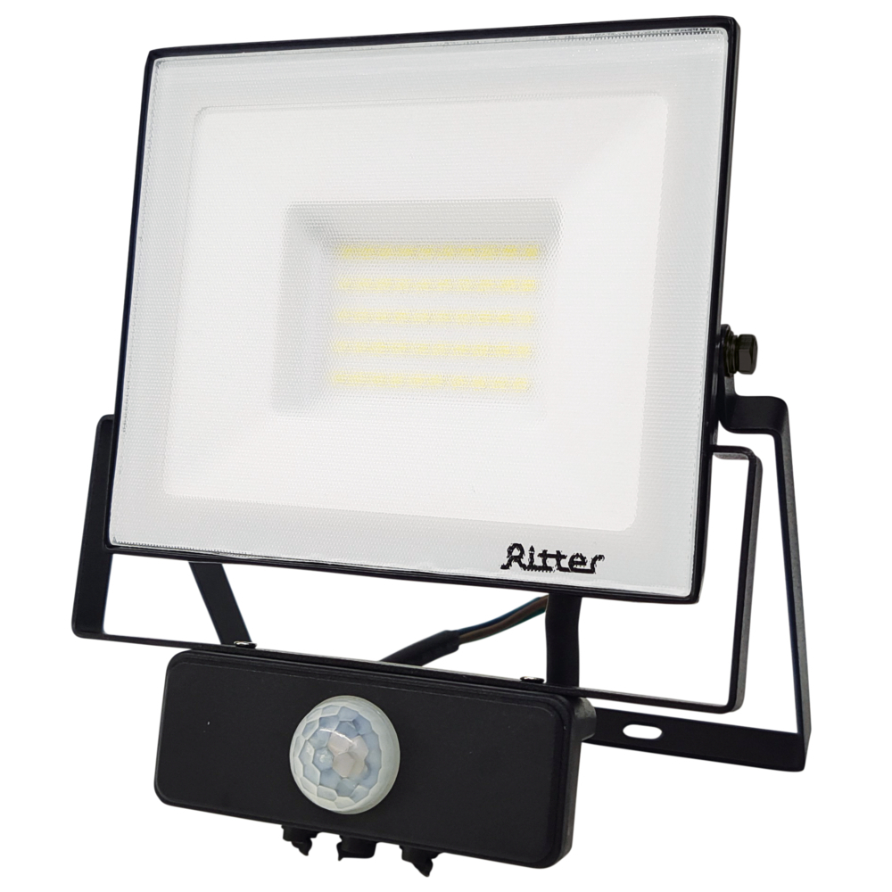 ���������� ��������� ������������ Ritter Profi 6500� 50 �� IP65 � �������� �������� ������  
