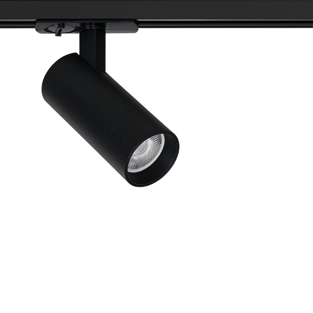 ���������� ������������ �������� ���������� ���������� Arte Lamp Bene 4000� 10 �� ������ (A1945PL-1BK)  
