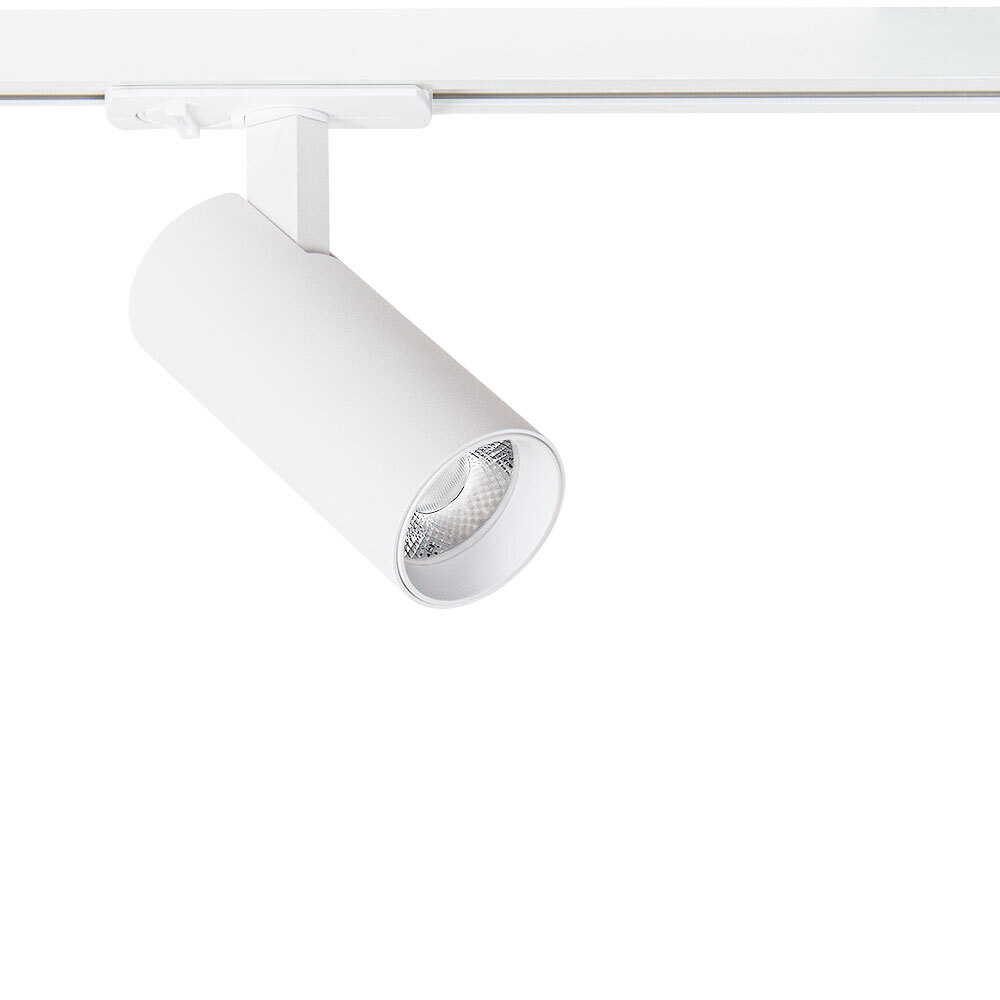 ���������� ������������ �������� ���������� ���������� Arte Lamp Bene 4000� 10 �� ����� (A1945PL-1WH)  