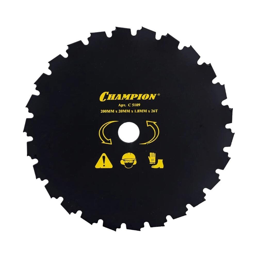 ���������� ��� ��� �������� Champion CLS-5800 200�20 �� 24 ���� (C5109)  