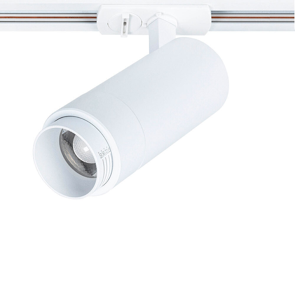 ���������� ������������ �������� ���������� ���������� Arte Lamp Merak 3000� 15 �� ����� (A3530PL-1WH)  