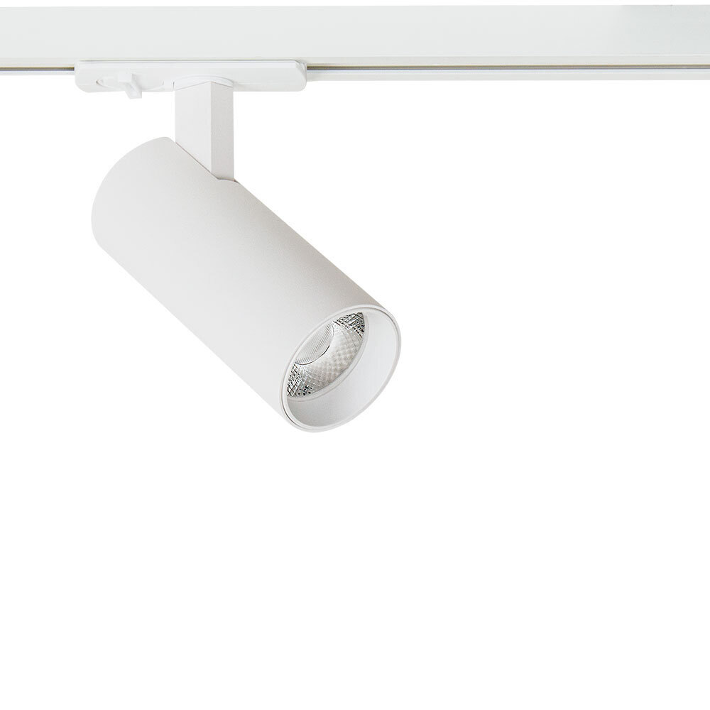 ���������� ������������ �������� ���������� ���������� Arte Lamp Bene 3000� 10 �� ����� (A1935PL-1WH/1075)  