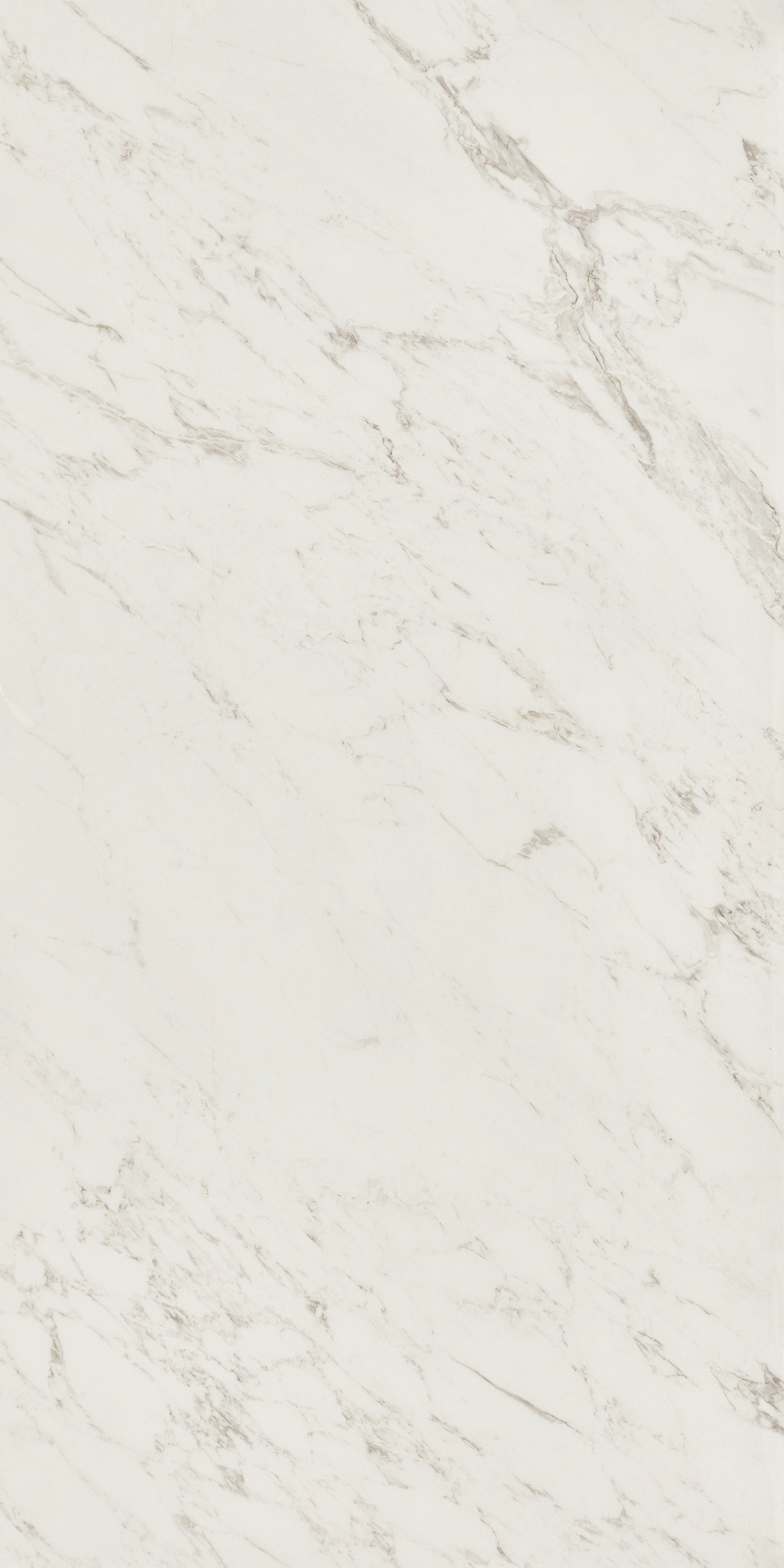 ���������� ������������ Lavelly Statuario Savona ����� ������������ 1200x600x8,5 �� (2 ��.=1,44 ��.�)  