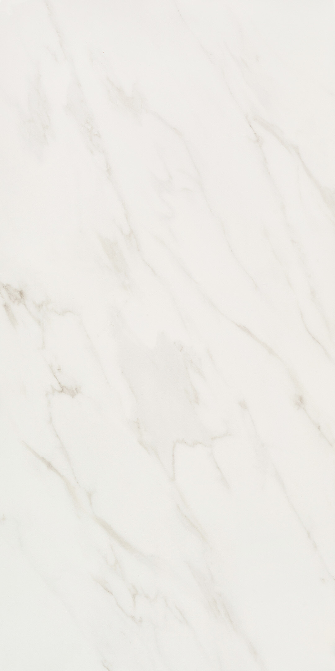 ���������� ������������ Lavelly Statuario Ligure ����� ������������ 1200x600x8,5 �� (2 ��.=1,44 ��.�)  