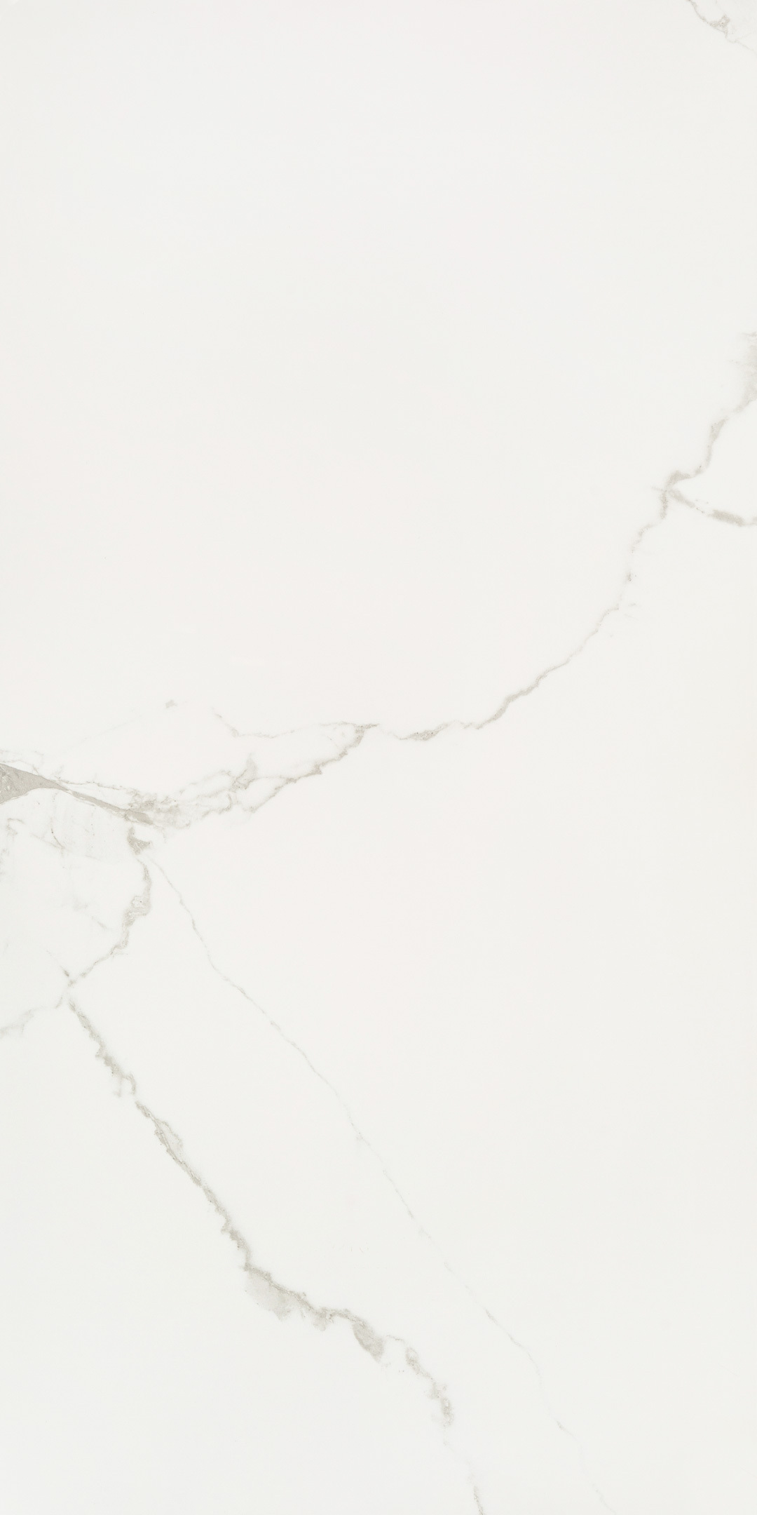 ���������� ������������ Lavelly Carrara Antico ����� ������������ 1200x600x8,5 �� (2 ��.=1,44 ��.�)  