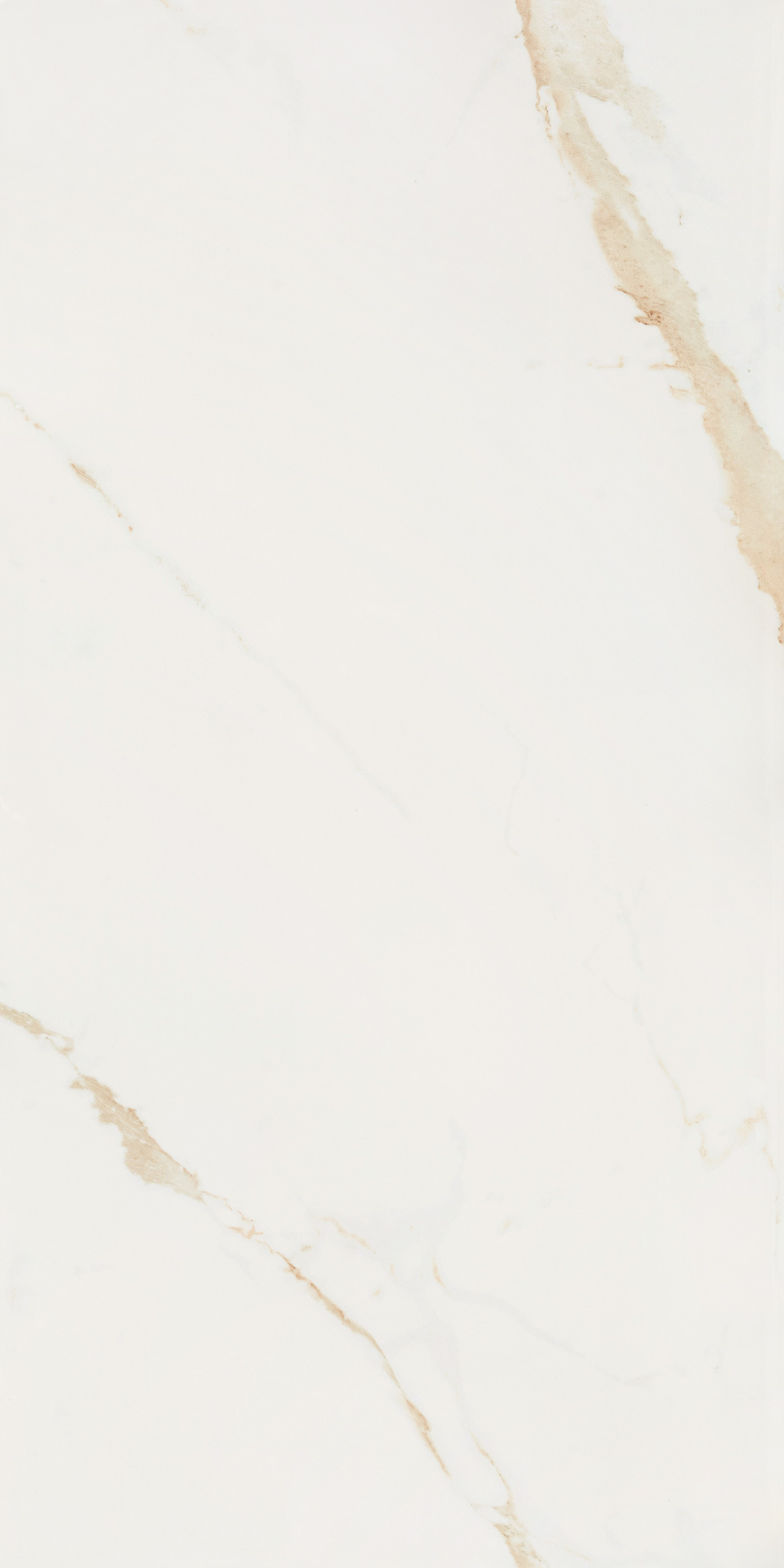���������� ������������ Lavelly Calacatta Toscana ����� ������������ 1200x600x8,5 �� (2 ��.=1,44 ��.�)  