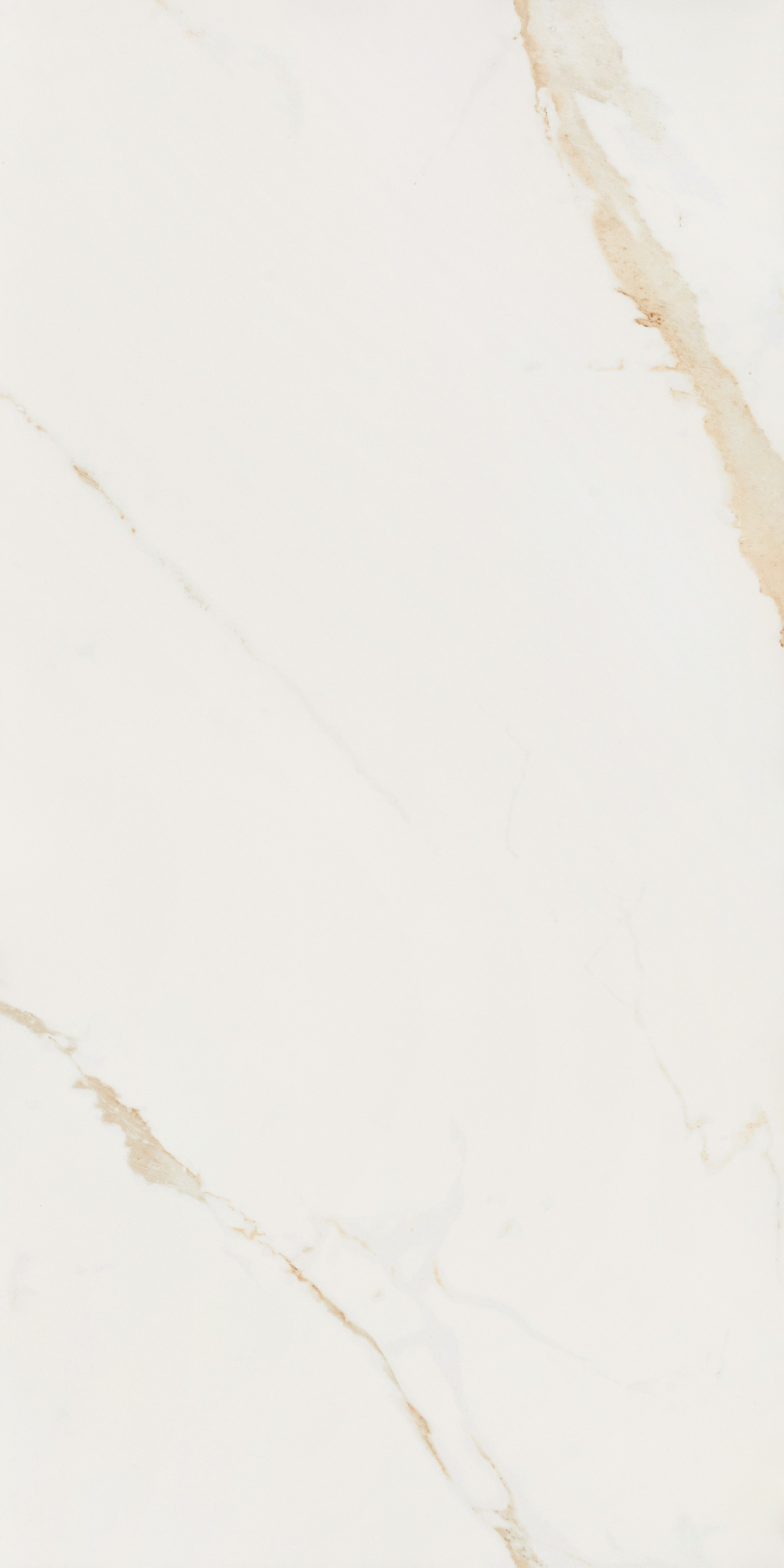 ���������� ������������ Lavelly Calacatta Toscana ����� ������� 1200x600x8,5 �� (2 ��.=1,44 ��.�)  