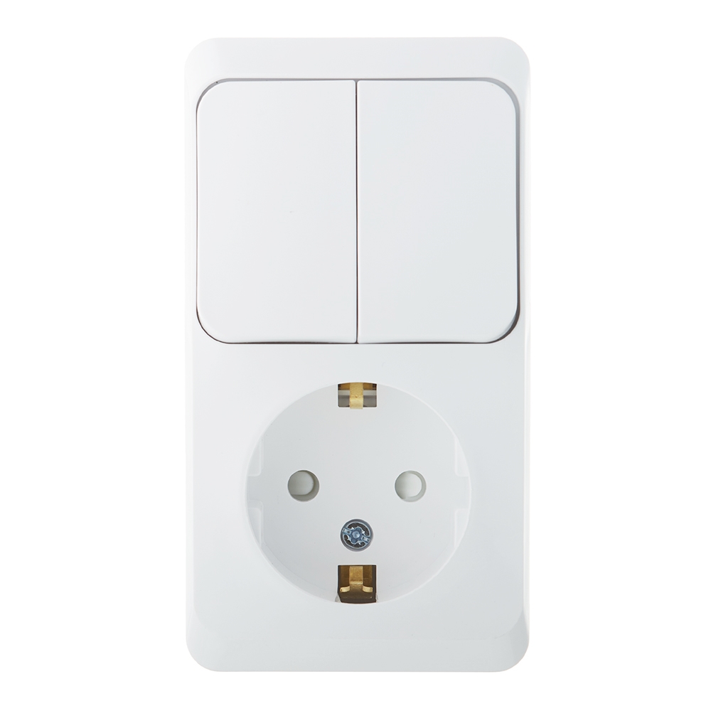 ���������� ���� ����������� � ������� Systeme Electric ���� ������������� ��������� ����� (BPA16-202B)  