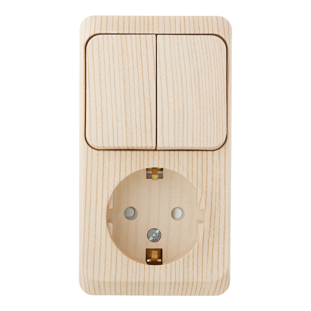 ���������� ���� ����������� � ������� Systeme Electric ���� ������������� ��������� ����� (BPA16-202D)  