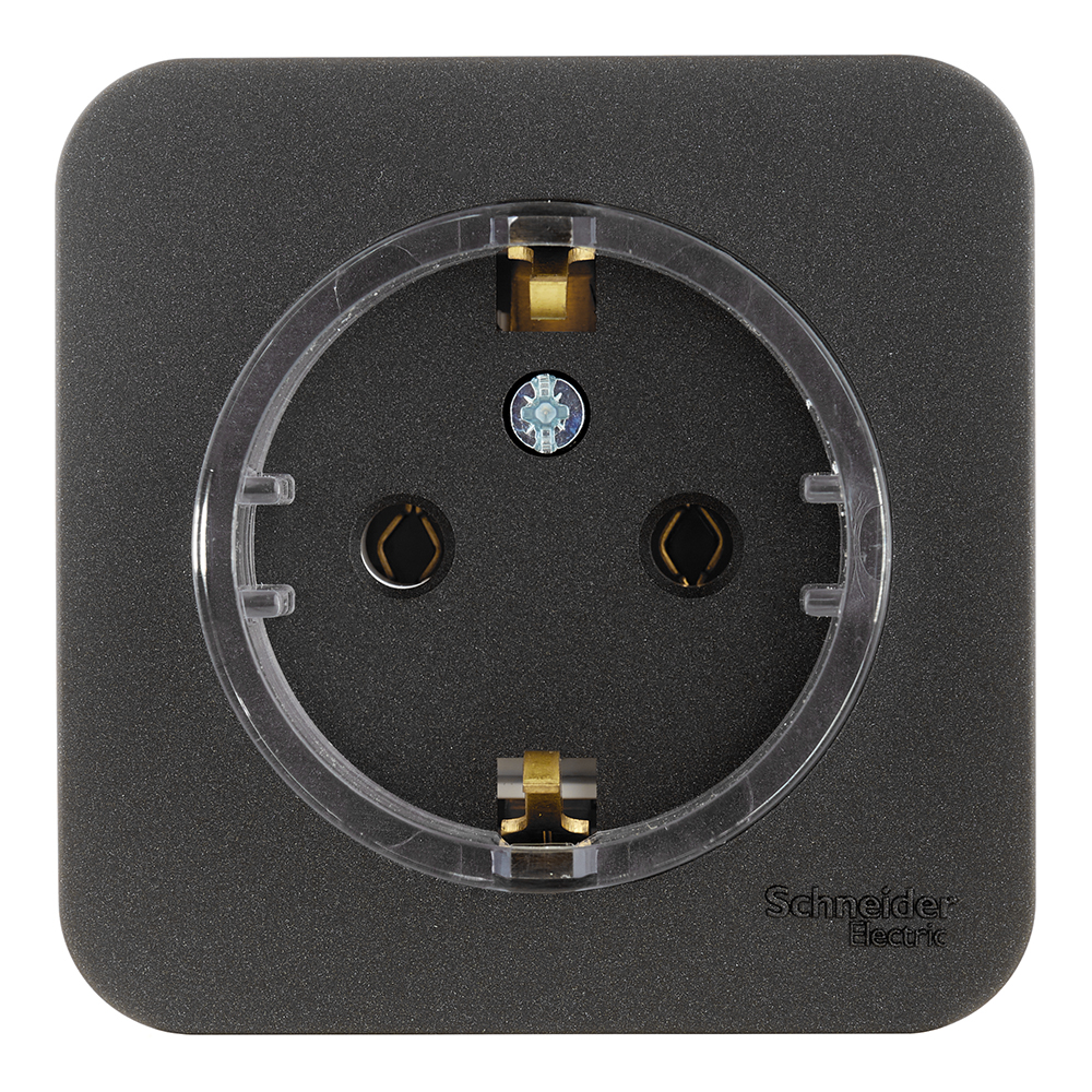 ���������� ������� Systeme Electric Blanca ��������� �������� ������� (BLNRA110116)  