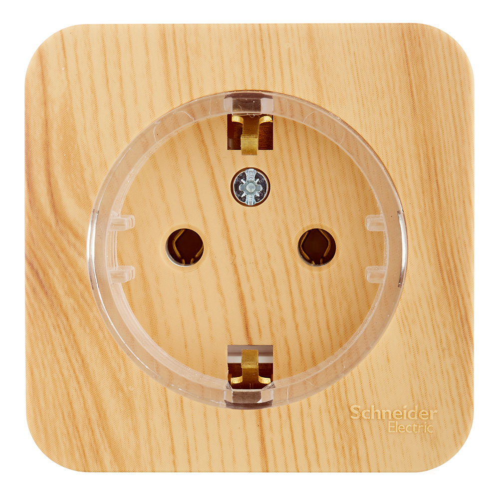 ���������� ������� Systeme Electric Blanca ��������� ����� ������� (BLNRA110115)  