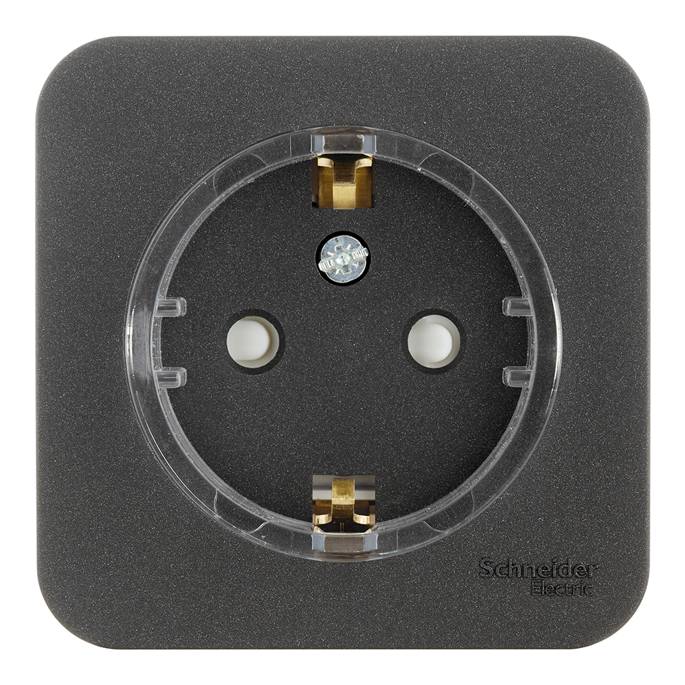 ���������� ������� Systeme Electric Blanca ��������� �������� �� �������� ������� (BLNRA111116)  