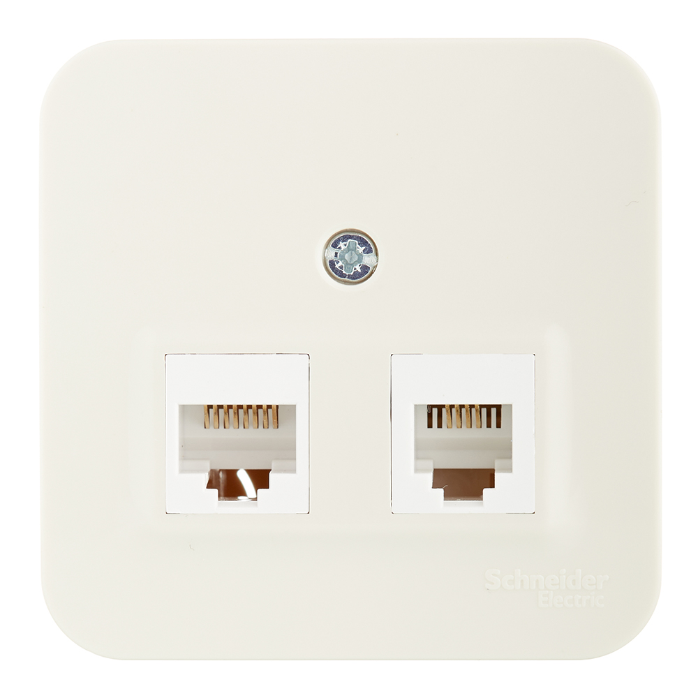 ���������� ������� ������������ Systeme Electric Blanca ��������� ������� 2�RJ45 (BLNIA045457)  