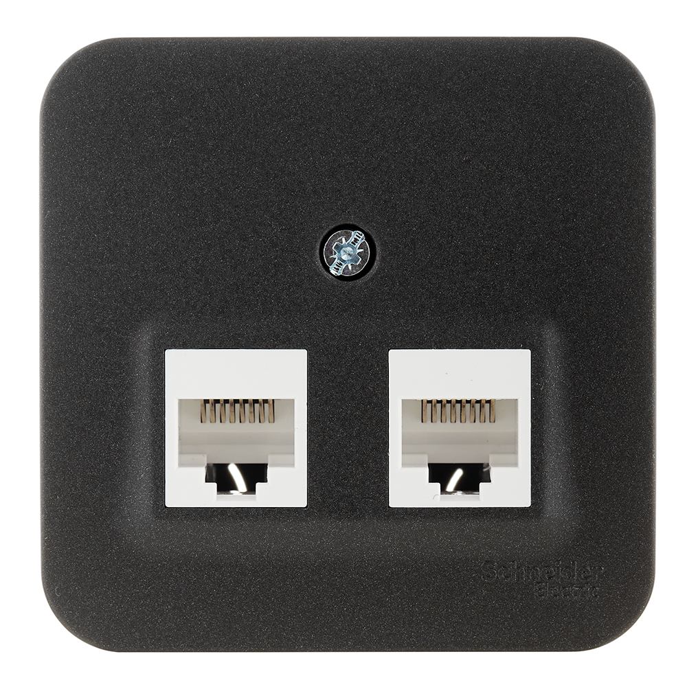 ���������� ������� ������������ Systeme Electric Blanca ��������� �������� 2�RJ45 (BLNIA045456)  