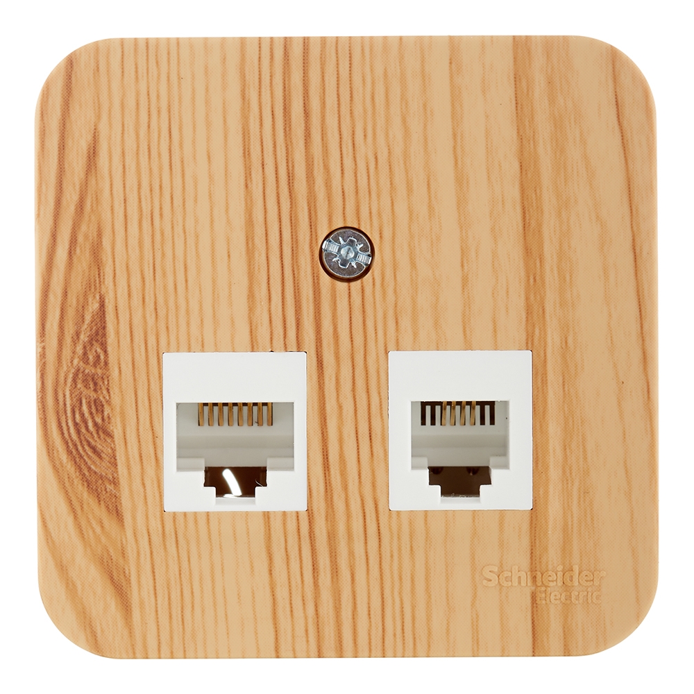 ���������� ������� ������������ Systeme Electric Blanca ��������� ����� 2�RJ45 (BLNIA045455)  