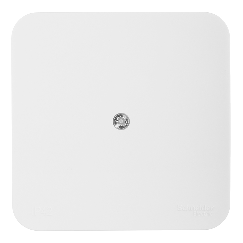 ���������� ������� ����������������� Systeme Electric Blanca ��������� �������� (BLNRK000012)  