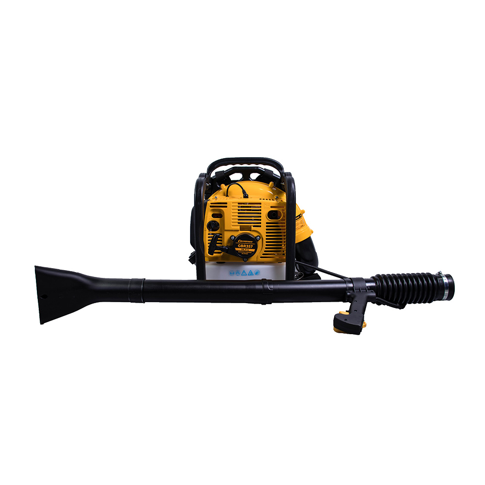 ���������� ������������ ���������� �������� Champion 2500 �� (GBR357)  